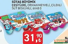 SÜTAŞ BÜYÜMİX YOĞURT ÇEŞİTLERİ 6X40 G
